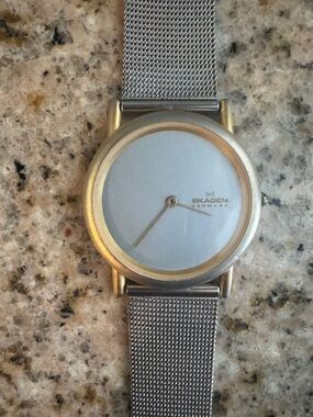 Skagen Silver Mesh Watch with Gold Accent